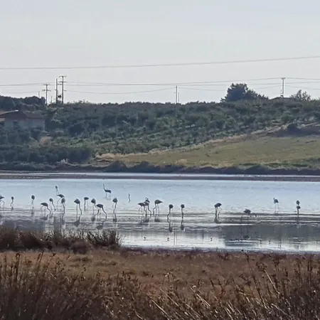 Διαμέρισμα Alexias