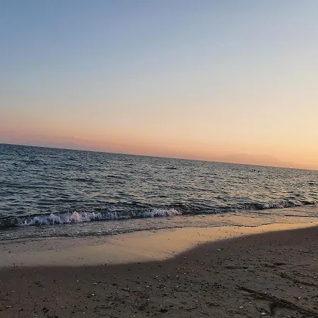Alexias *